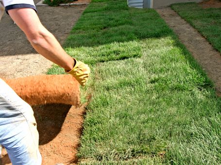 GARDEN MAINTENANCE 