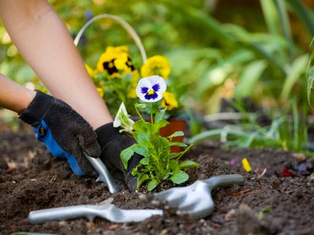 GARDEN MAINTENANCE 