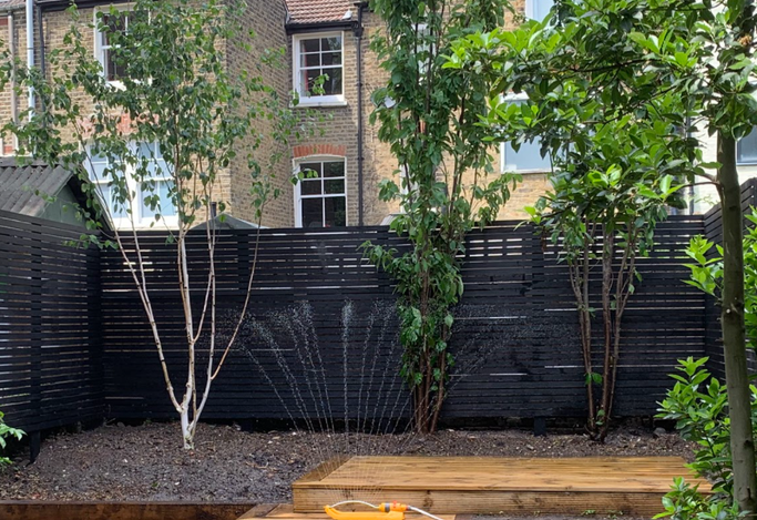 garden with wooden decking A garden with wooden decking, black fencing, and trees, featuring a sprinkler system.